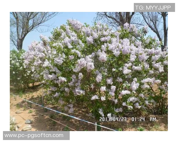 pg电子游艺飞翟3yb。app-探索PG电子游艺世界的新领域—飞翟YBAPP探秘之旅-pg电子游艺飞翟3yb。app